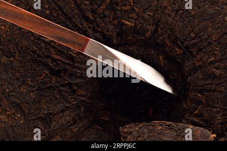 puer tea tradizionale cinese rotondo Foto Stock