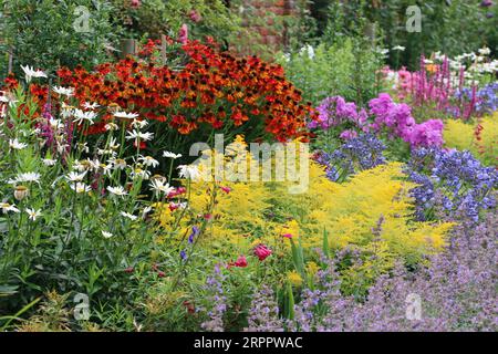 Letto di fiori erbacei perenni misti in un giardino con uno sfondo sfocato di piante e un muro di mattoni rossi. Foto Stock