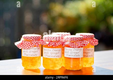 Un gruppo di vasetti di vetro contenenti marmellata di arancio e zenzero fatti in casa. Le vaschette hanno etichette scritte a mano e rivestimenti in tessuto sopra i coperchi Foto Stock