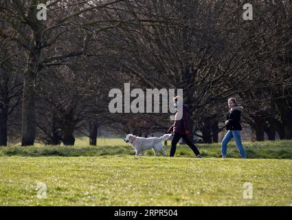 200327 -- LONDRA, 27 marzo 2020 -- Una donna che indossa una maschera cammina il suo cane a Londra, in Gran Bretagna, il 26 marzo 2020. Il governo britannico ha detto giovedì che il numero di casi confermati di COVID-19 nel paese è salito a 11.658, in quanto i decessi di un solo giorno hanno superato i 100 per la prima volta dall'epidemia della malattia. BRITAIN-LONDON-COVID-19 HanxYan PUBLICATIONxNOTxINxCHN Foto Stock