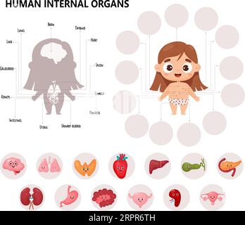 Anatomia del corpo umano. Cartoni animati per bambini infografiche mediche. Simpatica ragazza e schema visivo organi femminili interni personaggi, nomi e luoghi. Illu. Vettore Illustrazione Vettoriale