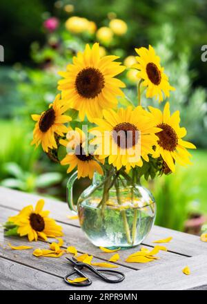 Composizione floreale con girasoli gialli in vaso di vetro sul tavolo da giardino. Concetto di giardinaggio o floristeria. Giorno del Ringraziamento. Messa a fuoco selettiva. Foto Stock