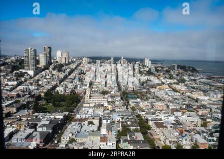 Vista dalla Coit Tower di San Francisco Foto Stock