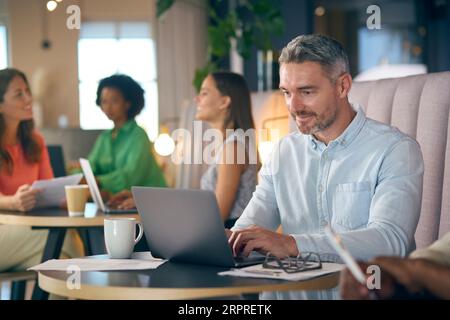 Uomo d'affari maturo che lavora su un notebook nell'area salotto informale dell'ufficio moderno Foto Stock