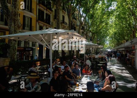 Spagna, Isole Baleari, Maiorca, Palma di Maiorca, città vecchia, Paseo del Borne o Passeig des Born in Catalano. La gente cena ai tavoli del ristorante nel viale più elegante di Palma, fiancheggiato da negozi di stilisti. Foto Stock