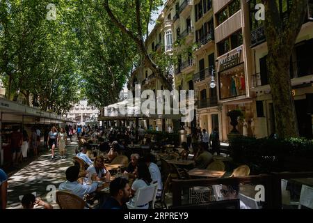 Spagna, Isole Baleari, Maiorca, Palma di Maiorca, città vecchia, Paseo del Borne o Passeig des Born in Catalano. La gente cena ai tavoli del ristorante nel viale più elegante di Palma, fiancheggiato da negozi di stilisti. Foto Stock