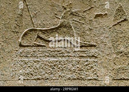 Antico Egitto. Frammenti di disegni e geroglifici sulle pareti. Primo piano. Foto Stock
