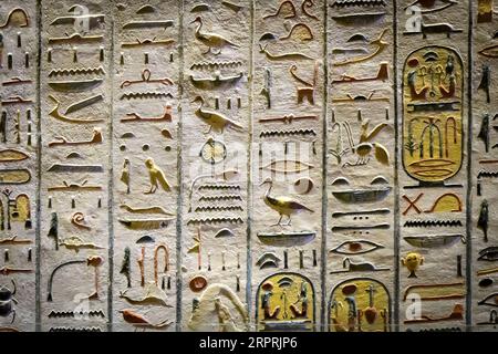 Antico Egitto. Frammenti di disegni e geroglifici sulle pareti. Primo piano. Foto Stock