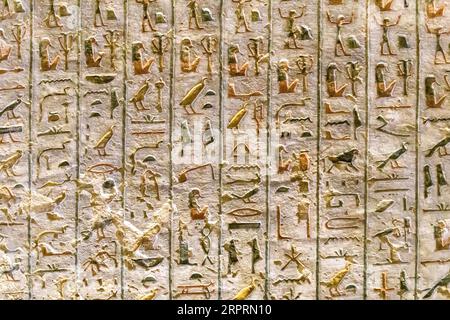 Antico Egitto. Frammenti di disegni e geroglifici sulle pareti. Primo piano. Foto Stock