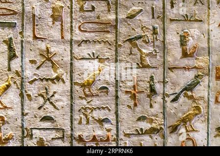 Antico Egitto. Frammenti di disegni e geroglifici sulle pareti. Primo piano. Foto Stock