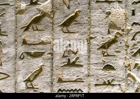 Antico Egitto. Frammenti di disegni e geroglifici sulle pareti. Primo piano. Foto Stock