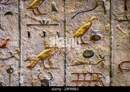 Antico Egitto. Frammenti di disegni e geroglifici sulle pareti. Primo piano. Foto Stock