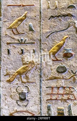 Antico Egitto. Frammenti di disegni e geroglifici sulle pareti. Primo piano. Foto Stock