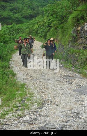 200416 -- RONGAN, 16 aprile 2020 -- Long Gexiong R, il fronte e gli abitanti del villaggio sono sulla strada per piantare alberi al villaggio di Tongbantun della Dongqi Township nella contea di Rongan, nella regione autonoma del Guangxi Zhuang della Cina meridionale, 15 maggio 2013. Long Gexiong, 52 anni, lasciò la sua città natale a 24 anni e andò a caccia di posti di lavoro nella città di Liuzhou, nella regione autonoma del Guangxi Zhuang nella Cina meridionale. Dopo due decenni di lavoro all'esterno, tornò finalmente nel suo villaggio natale, nelle montagne profonde. Long abbandonò la scuola nel 1986 a causa della povertà e si guadagnò da vivere piantando alberi di prugne. Tuttavia, le colline aride e la carenza d'acqua sono rimaste Foto Stock