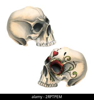 Profili del cranio umano senza mascella inferiore con decorazioni terribili. Illustrazione ad acquerello disegnata a mano per il giorno dei morti, halloween, dia de los Foto Stock