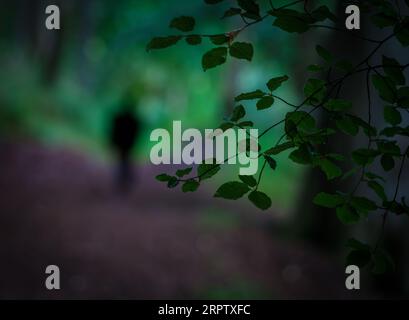 Moody Image Un uomo o una donna che cammina in Una foresta al tramonto Foto Stock