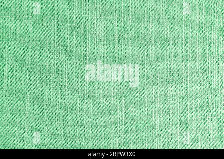 Tappezzeria in tessuto jacquard, tessuto grezzo verde. Sfondo tessile, materiale tessile per mobili, carta da parati, sfondo. Primo piano della struttura in tessuto. Foto Stock