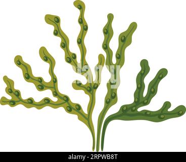 Icona di colore verde delle alghe. Natura marina selvaggia Illustrazione Vettoriale