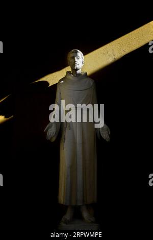 Una statua di St. Francesco d'Assisi, colorato e arricchito digitalmente, presso la Basilica di San Francesco d'Assisi a Santa Fe, New Mexico. Foto Stock