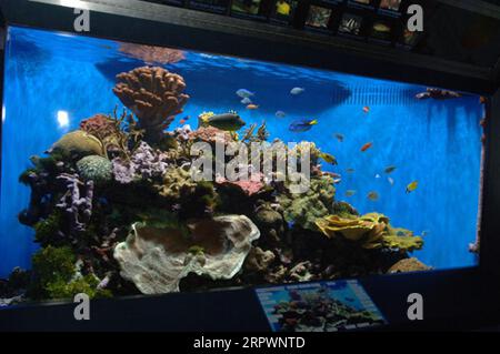 Visita del segretario Gale Norton all'Acquario Birch presso la Scripps Institution of Oceanography, la Jolla, California, per un discorso sull'esplorazione delle fonti di energia alternativa e per un tour dell'acquario e dei dintorni della Scripps Institution Foto Stock