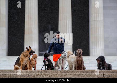 200430 -- WASHINGTON, 30 aprile 2020 Xinhua -- Un uomo cammina cani al Lincoln Memorial di Washington D.C., negli Stati Uniti il 30 aprile 2020. Giovedì la Federal Reserve ha annunciato che sta ampliando la portata e l'idoneità per il suo programma di prestiti Main Street da 600 miliardi di dollari, progettato per aiutare le piccole e medie imprese colpite dalla pandemia di COVID-19. Foto di Ting Shen/Xinhua U.S.-WASHINGTON D.C.-COVID-19-FED-BUSINESS LENDING PROGRAM PUBLICATIONxNOTxINxCHN Foto Stock