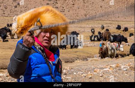 200502 -- CAMPO BASE DEL MONTE QOMOLANGMA, 2 maggio 2020 -- Herdsman Zhaxi pascolano yaks su un pascolo alpino nel villaggio di Zangpu nella città di Zhaxizom della contea di Tingri, regione autonoma del Tibet della Cina sud-occidentale, 23 aprile 2020. Zhaxi e la sua famiglia vivono nel villaggio dell'altopiano di Zangpu, che è il villaggio amministrativo più vicino alla vetta più alta del mondo, il Monte Qomolangma. Nel 2008, all'epoca Zhaxi di 26 anni, si innamorò di Deden, una ragazza di sei anni più giovane di lui. Zhaxi decise di sposare Deden mentre viveva lontano dalla sua grande famiglia originaria che possedeva un patrimonio familiare di oltre 200 yak. Divisione Foto Stock