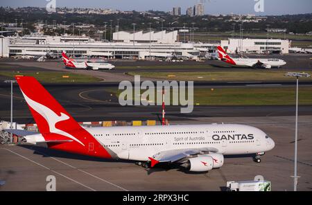 Fluggesellschaft Qantas gibt umfangreichen Stellenabbau bekannt 200505 -- SYDNEY, 5 maggio 2020 -- foto scattata il 18 marzo 2020 mostra gli aerei Qantas all'aeroporto di Sydney, Australia. La compagnia aerea nazionale australiana Qantas il 5 maggio ha esteso le cancellazioni dei voli internazionali fino alla fine di luglio, ma ha affermato di essere in una posizione forte per sopportare le perturbazioni causate dalla COVID-19. AUSTRALIA-QANTAS-CANCELLAZIONE-ESTENSIONE BaixXuefei PUBLICATIONxNOTxINxCHN Foto Stock