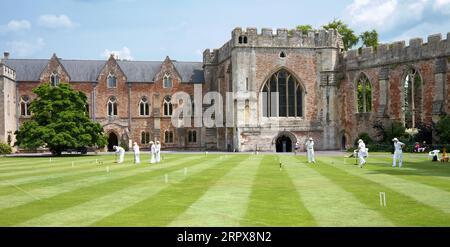 Croquet sul prato del Palazzo dei Vescovi Wells Foto Stock