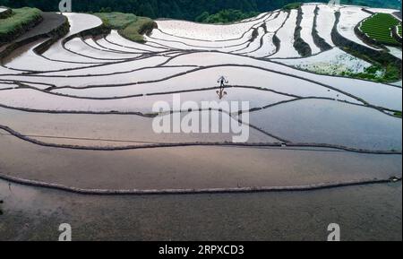 200517 -- PECHINO, 17 maggio 2020 -- foto aerea scattata il 15 maggio 2020 mostra campi terrazzati nel villaggio di Changchun della contea di Zigui, nella provincia centrale di Hubei in Cina. Foto di /Xinhua XINHUA FOTO DEL GIORNO ZhengxJiayu PUBLICATIONxNOTxINxCHN Foto Stock