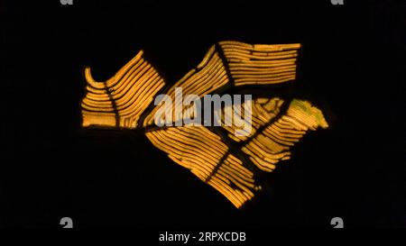 200517 -- PECHINO, 17 maggio 2020 -- in questa foto aerea scattata il 15 maggio 2020, l'illuminazione artificiale viene applicata per aiutare a prolungare le ore di luce diurna in un frutteto di draghi nel villaggio di Bacao nella città di Liangtian, Zhenning Buyi e nella contea autonoma di Miao nella provincia di Guizhou della Cina sud-occidentale. XINHUA FOTO DEL GIORNO TaoxLiang PUBLICATIONxNOTxINxCHN Foto Stock