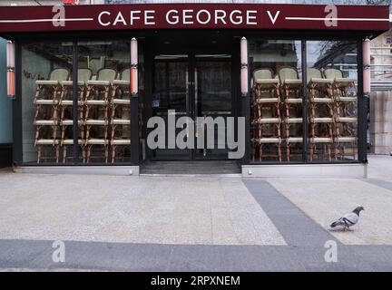 200530 -- PARIGI, 30 maggio 2020 -- Un piccione è visto di fronte a un ristorante chiuso presso gli Champs Elysees Avenue a Parigi, in Francia, 18 marzo 2020. l'istituto nazionale di statistica francese INSEE ha dichiarato nel maggio 29 che il PIL del prodotto interno lordo della Francia è stato rivisto di 0,5 punti al netto del 5,3% per i primi tre mesi dell'anno. FRANCIA-PARIGI-ECONOMIA-PIL GaoxJing PUBLICATIONxNOTxINxCHN Foto Stock