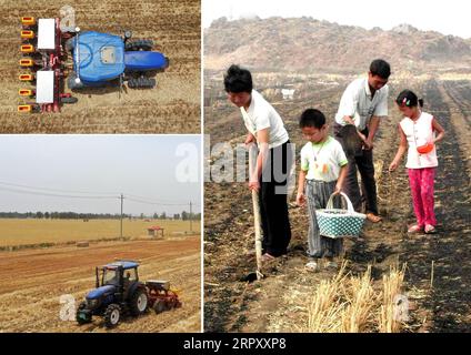 200605 -- ZHENGZHOU, 5 giugno 2020 -- la foto combinata mostra un trattore senza equipaggio dotato di sistema di navigazione Beidou che semina semi nel campo nel villaggio di Anzhong della città di Xiaoyangying nella città di Dengzhou, nella provincia centrale di Henan della Cina a sinistra, in alto e in basso, foto aeree scattate il 26 maggio 2020 da , e gli agricoltori che seminano semi mentre il terreno è bagnato dopo aver annaffiato il terreno con un dispositivo di irrigazione sprinkler nella contea di Ruyang, nella provincia di Henan nella Cina centrale, foto del file pubblicata l'11 giugno 2001, scattata da Wang Song. Dalla fondazione della Repubblica Popolare Cinese, il livello di meccaniz agricola Foto Stock
