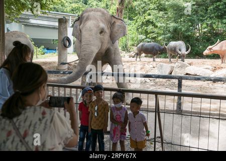 200616 -- BANGKOK, 16 giugno 2020 -- i bambini posano per delle foto con un elefante al Khao Kheow Open Zoo nella provincia di Chonburi in Thailandia, 16 giugno 2020. Sei zoo in Thailandia riapriranno gratuitamente per i visitatori dal 15 al 30 giugno. THAILANDIA-COVID-19-RIAPERTO ZOO ZhangxKeren PUBLICATIONxNOTxINxCHN Foto Stock