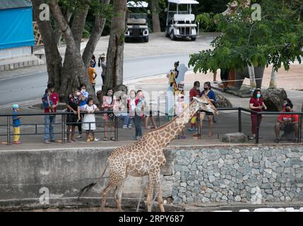 200616 -- BANGKOK, 16 giugno 2020 -- i turisti visitano lo zoo aperto Khao Kheow nella provincia di Chonburi in Thailandia, 16 giugno 2020. Sei zoo in Thailandia riapriranno gratuitamente per i visitatori dal 15 al 30 giugno. THAILANDIA-COVID-19-RIAPERTO ZOO ZhangxKeren PUBLICATIONxNOTxINxCHN Foto Stock