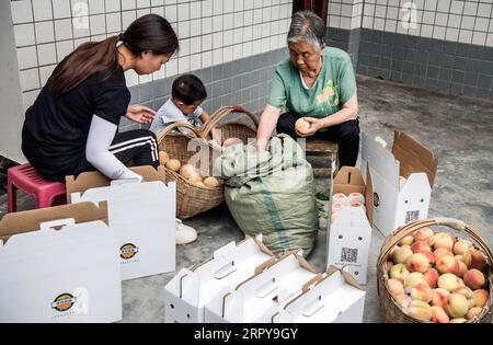200621 -- ANKANG, 21 giugno 2020 -- Chen Yuangui 1st R, madre di 77 anni di li Zengyi, smista le pesche nel villaggio di Wenhua nel distretto di Hanbin della città di Ankang, provincia dello Shaanxi della Cina nord-occidentale, 19 giugno 2020. Nel 1997, per liberarsi dalla povertà, li Zengyi, un abitante del villaggio di Wenhua, nella città di Ankang, trasferì la sua famiglia, compresa la figlia disabile di sette anni, in una casa improvvisata su una montagna per coltivare le pesche. Li Wei, il figlio maggiore di li Zengyi, andò a lavorare nella provincia del Guangdong della Cina meridionale dopo la laurea dalla scuola media per sostenere la famiglia. Li Peng, il più giovane Foto Stock