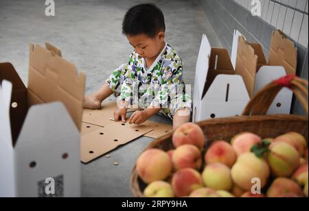 200621 -- ANKANG, 21 giugno 2020 -- li Shaochen, figlio di li Wei, aiuta a pulire i fori di ventilazione su un cartone di imballaggio nel villaggio di Wenhua nel distretto di Hanbin della città di Ankang, provincia dello Shaanxi della Cina nord-occidentale, 19 giugno 2020. Nel 1997, per liberarsi dalla povertà, li Zengyi, un abitante del villaggio di Wenhua, nella città di Ankang, trasferì la sua famiglia, compresa la figlia disabile di sette anni, in una casa improvvisata su una montagna per coltivare le pesche. Li Wei, il figlio maggiore di li Zengyi, andò a lavorare nella provincia del Guangdong della Cina meridionale dopo la laurea dalla scuola media per sostenere la famiglia. Li Peng, Foto Stock