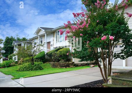Strada suburbana con grandi case indipendenti e giardini frontali Foto Stock