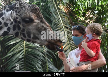 200706 -- SINGAPORE, 6 luglio 2020 Xinhua -- i visitatori che indossano maschere facciali danno da mangiare a una giraffa nello zoo di Singapore il 6 luglio 2020. Lo zoo di Singapore ha riaperto al pubblico lunedì dopo l'allentamento delle misure di confinamento nella lotta contro la pandemia di COVID-19. Foto di Then Chih Wey/Xinhua SINGAPORE-COVID-19-ZOO-REOPENING PUBLICATIONxNOTxINxCHN Foto Stock