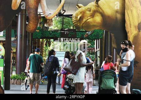 200706 -- SINGAPORE, 6 luglio 2020 Xinhua -- i visitatori fanno la fila per entrare allo zoo di Singapore il 6 luglio 2020. Lo zoo di Singapore ha riaperto al pubblico lunedì dopo l'allentamento delle misure di confinamento nella lotta contro la pandemia di COVID-19. Foto di Then Chih Wey/Xinhua SINGAPORE-COVID-19-ZOO-REOPENING PUBLICATIONxNOTxINxCHN Foto Stock