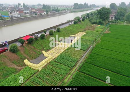 200722 -- NANCHINO, 22 luglio 2020 -- foto aerea scattata il 17 luglio 2020 mostra gli ispettori che pattugliano un'area che perde bloccata da materiali filtranti invertiti in un argine nella città di Yangzhong, nella provincia di Jiangsu della Cina orientale. A SEGUIRE I TITOLI DI XINHUA DEL 22 LUGLIO 2020 CHINA-YANGTZE RIVER-FIGHT AGAINST FLOODS JIXCHUNPENG PUBLICATIONXNOTXINXCHN Foto Stock