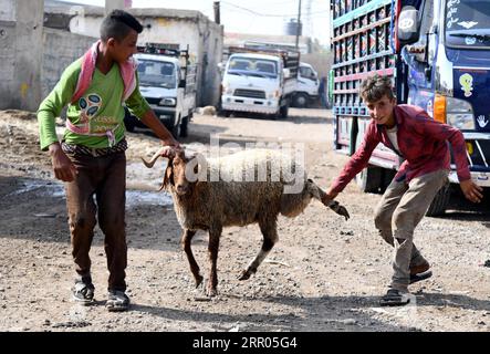 200729 -- SIRIA, 29 luglio 2020 -- i ragazzi siriani tengono una pecora in un mercato di bestiame a Damasco, capitale della Siria, il 29 luglio 2020. Il popolo siriano è impegnato a preparare l'imminente Eid al-Adha, o la Festa del sacrificio. Foto di /Xinhua SYRIA-DAMASCO-LIVESTOCK-EID AL ADHA AmmarxSafarjalani PUBLICATIONxNOTxINxCHN Foto Stock