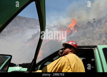 200801 -- LOS ANGELES, 1 agosto 2020 Xinhua -- Un vigile del fuoco partecipa alla lotta contro gli incendi nella Angeles National Forest di Azusa, California, Stati Uniti, il 31 luglio 2020. Un incendio ha continuato a annerire la terra nella Angeles National Forest. Xinhua U.S.-LOS ANGELES-WILD FIRE PUBLICATIONxNOTxINxCHN Foto Stock