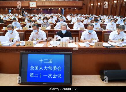 200808 -- PECHINO, 8 agosto 2020 -- la prima riunione plenaria della 21a sessione del 13° Congresso Nazionale del popolo Comitato permanente NPC si tiene presso la grande sala del popolo a Pechino, capitale della Cina, 8 agosto 2020. Li Zhanshu, presidente del comitato permanente dell'NPC, ha presieduto la riunione. CHINA-BEIJING-LI ZHANSHU-NPC-COMITATO PERMANENTE SESSIONE CN ZHANGXLING PUBLICATIONXNOTXINXCHN Foto Stock