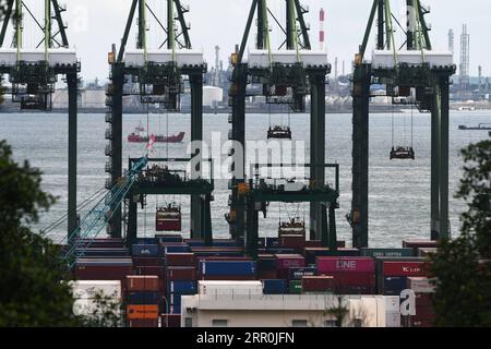 200817 -- SINGAPORE, 17 agosto 2020 Xinhua -- i container sono visti al terminal container Pasir Panjang a Singapore il 17 agosto 2020. Le esportazioni nazionali non petrolifere di Singapore NODX sono cresciute del 6% su base annua a luglio, dopo il rivisto aumento del 13,9% nel mese precedente, Enterprise Singapore, un'agenzia governativa, ha annunciato lunedì. Foto di allora Chih Wey/Xinhua SINGAPORE-ESPORTAZIONI NAZIONALI NON PETROLIFERE PUBLICATIONxNOTxINxCHN Foto Stock