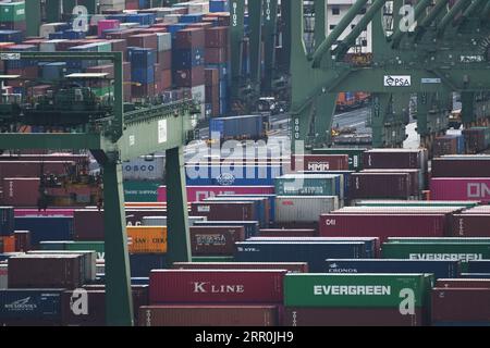 200817 -- SINGAPORE, 17 agosto 2020 Xinhua -- i container sono visti al terminal container Pasir Panjang a Singapore il 17 agosto 2020. Le esportazioni nazionali non petrolifere di Singapore NODX sono cresciute del 6% su base annua a luglio, dopo il rivisto aumento del 13,9% nel mese precedente, Enterprise Singapore, un'agenzia governativa, ha annunciato lunedì. Foto di allora Chih Wey/Xinhua SINGAPORE-ESPORTAZIONI NAZIONALI NON PETROLIFERE PUBLICATIONxNOTxINxCHN Foto Stock