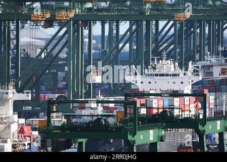 200817 -- SINGAPORE, 17 agosto 2020 Xinhua -- i container sono visti al terminal container Pasir Panjang a Singapore il 17 agosto 2020. Le esportazioni nazionali non petrolifere di Singapore NODX sono cresciute del 6% su base annua a luglio, dopo il rivisto aumento del 13,9% nel mese precedente, Enterprise Singapore, un'agenzia governativa, ha annunciato lunedì. Foto di allora Chih Wey/Xinhua SINGAPORE-ESPORTAZIONI NAZIONALI NON PETROLIFERE PUBLICATIONxNOTxINxCHN Foto Stock