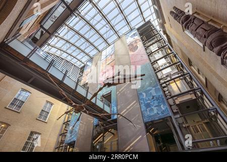 Atrio del Liverpool World Museum con scheletro fossile di pterosauro, Merseyside, inghilterra Foto Stock