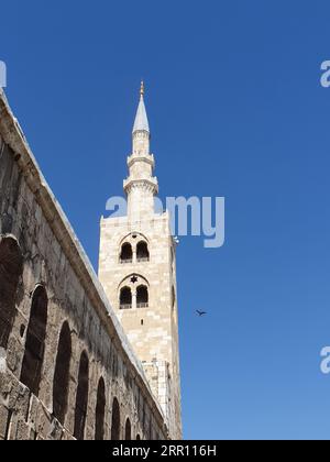 Umayyad Moschea di Damasco Foto Stock