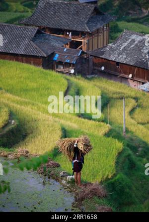 200906 -- PECHINO, 6 settembre 2020 -- Un abitante del villaggio lavora in campi terrazzati nella Jiabang Township, Congjiang County of South West China S Guizhou Province, 4 settembre 2020. XINHUA FOTO DEL GIORNO LiuxXu PUBLICATIONxNOTxINxCHN Foto Stock