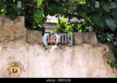 200906 -- PECHINO, 6 settembre 2020 -- i bambini guardano fuori da una casa durante un coprifuoco ad Amman, Giordania, 4 settembre 2020. Foto di /Xinhua XINHUA FOTO DEL GIORNO MohammadxAbuxGhosh PUBLICATIONxNOTxINxCHN Foto Stock